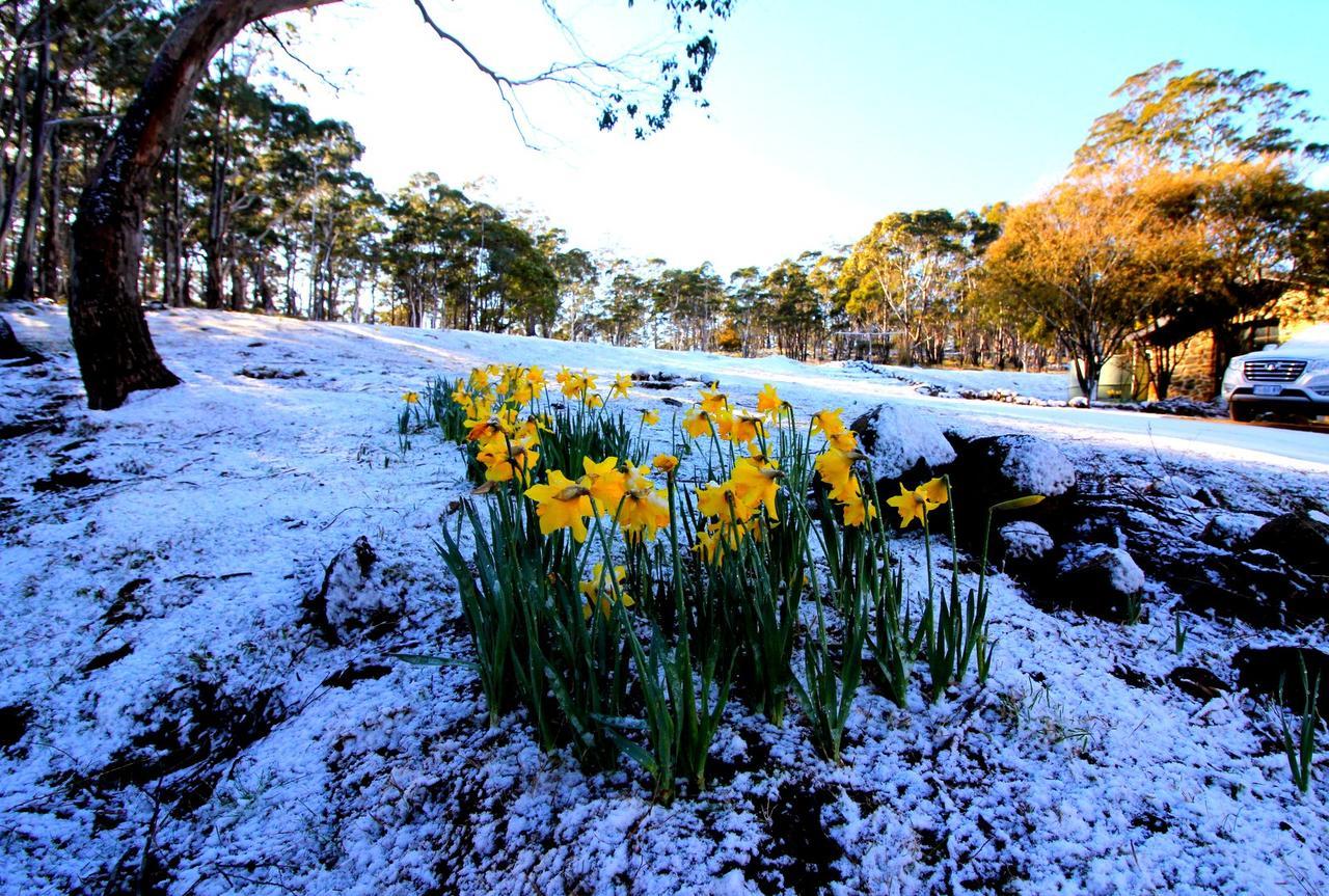 The Great House Bnb Buckland Esterno foto
